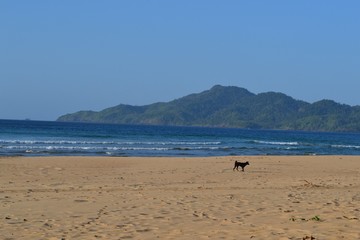 Fototapeta na wymiar Duli Beach in El Nido