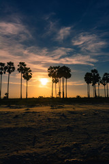 Beautiful sunset on the beach. Portrait of beautiful beaches and palm.