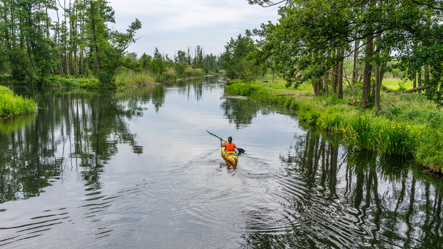 Girl kayaking on a river, beautiful nature landscape