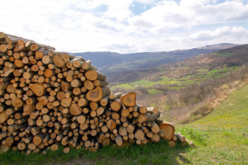 panorama of the emilia romagna hills with woodpile