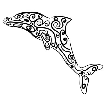 Dolphin decorative ornament Animal sketch