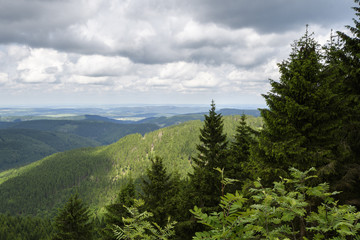 Thüringer Wald