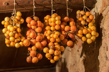 Supersano, Italy - May 24, 2017; Pachino tomatoes hung on the wooden ceiling in the light of a...