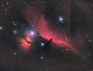 Horsehead Nebula