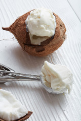 Coconut ice cream in a metal spoon
