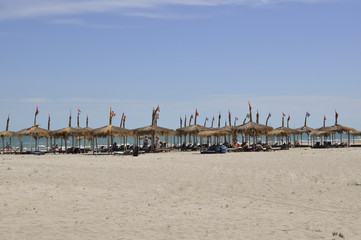 International Beach