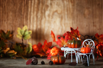 fresh pumpkin in interior wooden room on chair