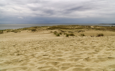 Sand dunes on the Baltic sea coastline in Nida. Curonian Spit, Lithuania.