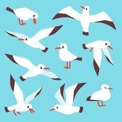 Cartoon atlantic seabird, seagulls flying in blue sky vector set