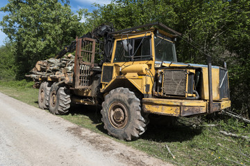 Fototapeta na wymiar camión forestal cargado de madera
