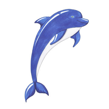 Dolphin Isolated on a White Background Hand Drawn Illustration