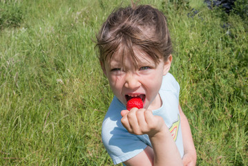 croquer les fraises du jardin