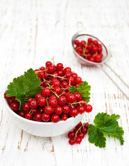 fresh red currant