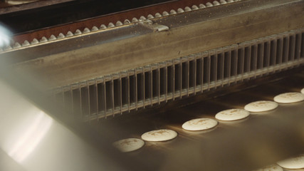Cookies on the conveyor. Production of round cookies
