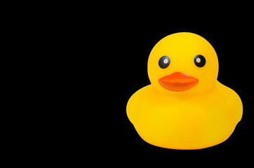 Cute yellow rubber duck on black background,clipping path