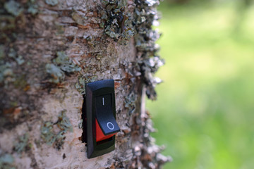 Power switch installed on birch tree. Concept of conservation, clean technology,  green business and alternative energy. Green background.