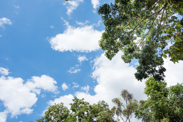 Obraz premium Blue sky with white cloud. Natural cloudscape background