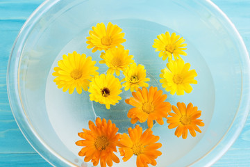 Feng Shui, Marigold Flowers in a Bowl with Water