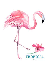 Fototapeta premium Hand drawn watercolor tropical birds set of flamingo. Exotic bird illustrations, jungle tree, brazil trendy art. Perfect for fabric design. Aloha set