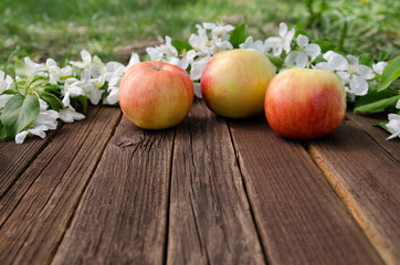 Ripe apples and apple blossom on a wooden background. Free space, side view