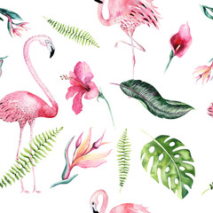 Fototapety  Tropikalny na białym tle wzór z flamingo. Akwarela zwrotnik rysunek, róża ptak i palma zieleni, zwrotnik zielony tekstura, egzotyczny kwiat. Zestaw Aloha