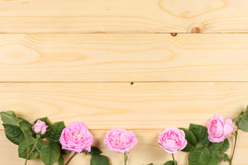 Fototapeta na wymiar pink rose flowers on light wood background. top view with copy space