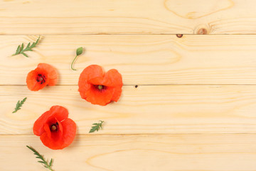 red poppy flowers on light wood background. top view with copy space