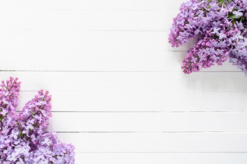 Lilac flowers frame composition on white background. Flat lay of lilacs. Copy space