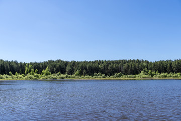 Fototapeta premium Taiga forest on the edge of the lake