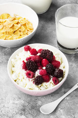 Cottage cheese in bowl with frozen raspberry, blackberry and cup of cornflakes, milk in glass on a light background