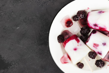 Ice cream from yogurt / coconut milk with blackberry and raspberry on a dark background. Top view, copy space. Food background