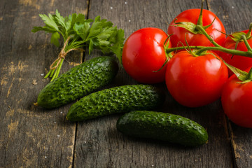 Branch with five ripe red tomatoes. Drops of water on ripe fruits. Green leaves and trunk.