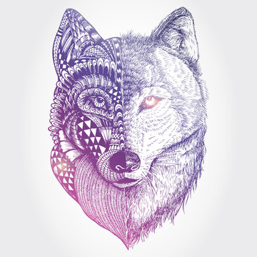 Abstract wolf illustration, Vector