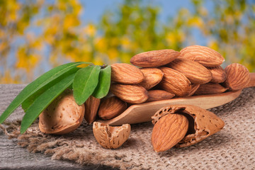 heap of peeled almonds with leaf in a wooden scoop on table blurred garden background