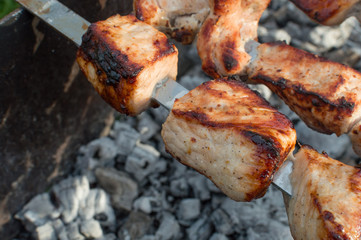 meat on skewers on fire