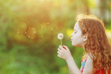 Beautiful little girl enjoying blowing dandelion