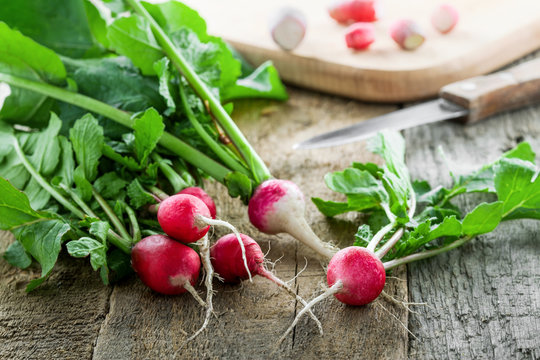 Fresh healthy radish on a wooden table.  Organic home gardening food.
