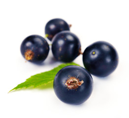 black currants with leaves