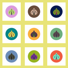 Collection of stylish vector icons in colorful circles flying beetle
