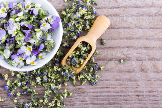 small, violet heartsease / Fresh and dried flowers from field pansy 