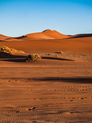 Fototapeta na wymiar Sand dune in the Namib Naukluft National Park, Sesriem, Namibia