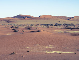 Sossusvlei in the Namib Naukluft National Park, Sesriem, Namibia