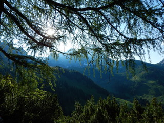 alpine lansdcape around Grosse Bischofsmutze in dachsteingebirge in austria
