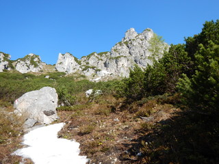 alpine lansdcape around Grosse Bischofsmutze in dachsteingebirge in austria