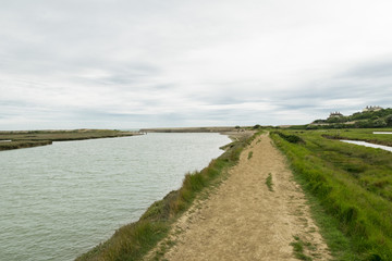Obraz premium Paesaggio inglese - Foce del fiume Cuckmere