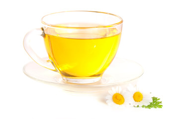 Herbal tea with fresh chamomile flowers isolated on white background