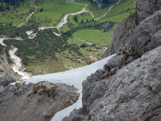 shy mountain ibex curiously checking the way