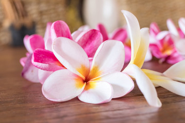 Fototapeta na wymiar Plumeria flower pink and white frangipani tropical flower, plumeria flower bloominge, spa flower, Bali island.