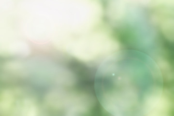 Obraz premium Abstract of Cheerful Blurred Green Summer Bokeh