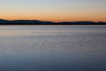 A dusk at a lake, with some ducks and trails on the water 